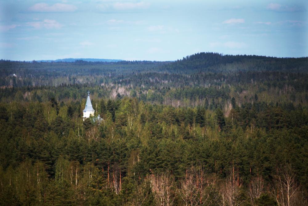 Toivakan kirkon torni näkyy metsän keskeltä Kiikarivuorelta katsottuna.